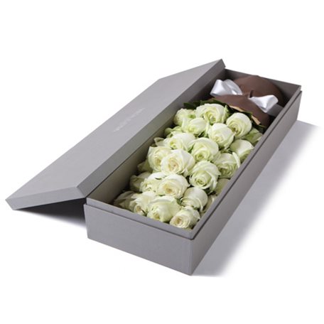 轻语----精品玫瑰礼盒:白玫瑰33枝，少量绿叶